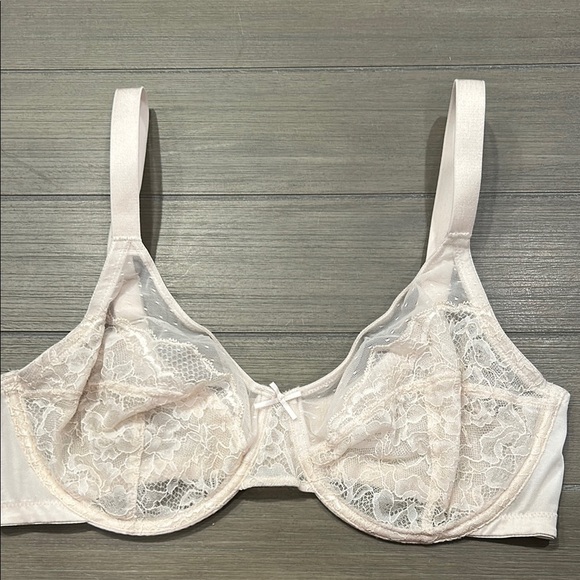 HSIA Enchante Full Support Lace Underwire Bra - Picture 2 of 10